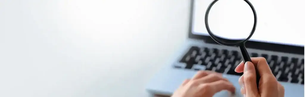 web design trends